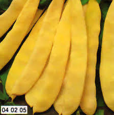 FAGIOLO MERAVIGLIA DI VENEZIA SEME NERO GR.200